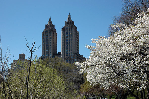 Central Park 040.JPG